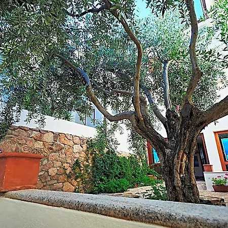 Parco Blu 4*